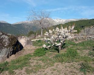 Jardí de Residencial en venda en El Hornillo 