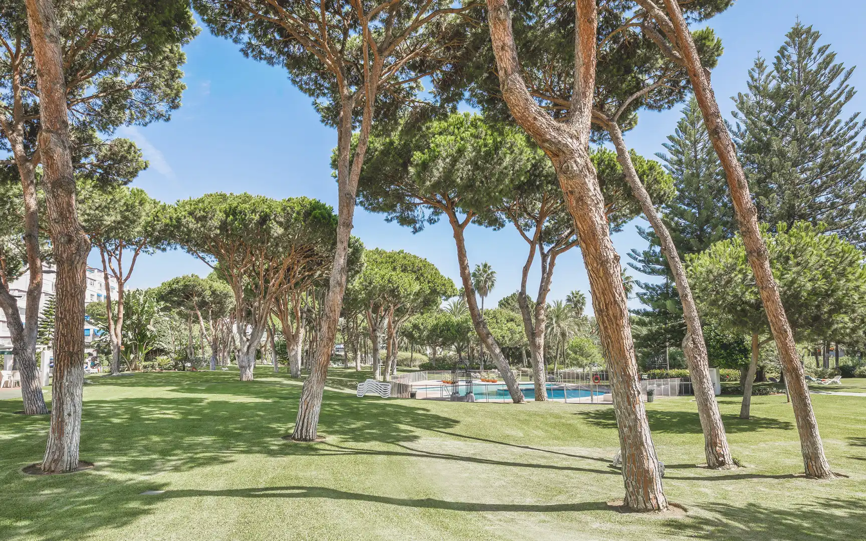 Appartement compact avec piscine à vendre à Nueva Andalucía, imagen 20