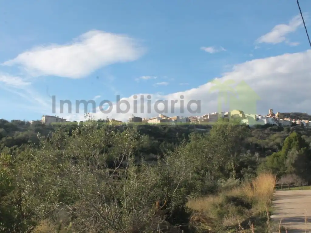 Terreny residencial en venda a Cervera del Maestre, imagen 15