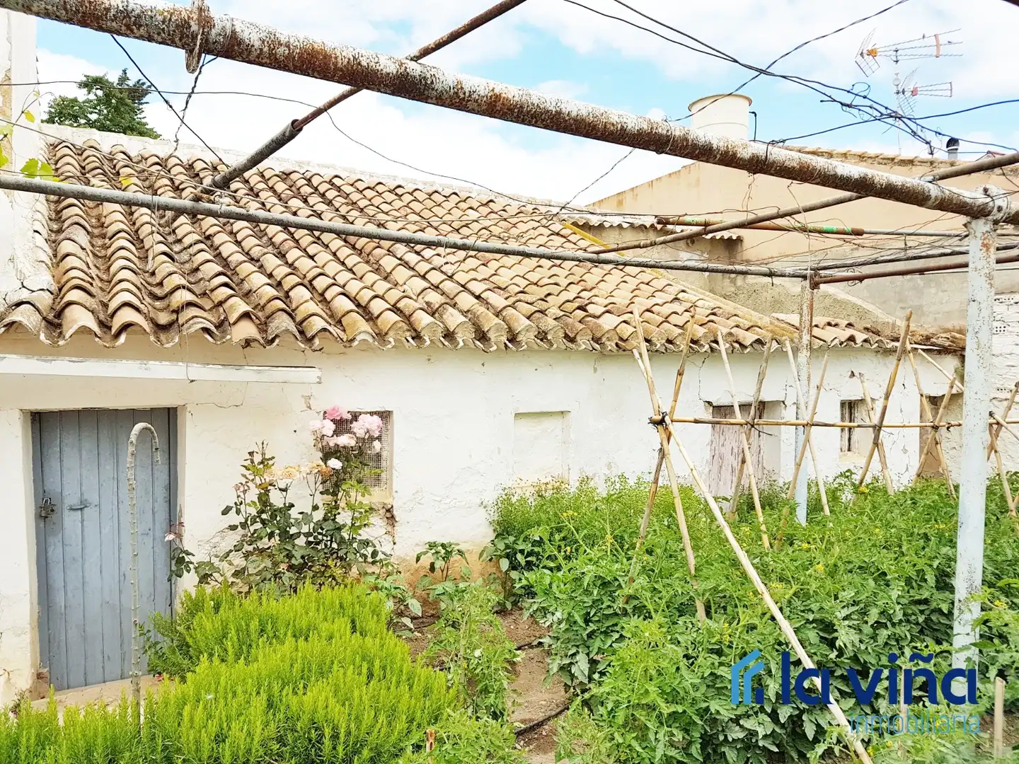 Jardí de Casa o xalet en venda en Antequera