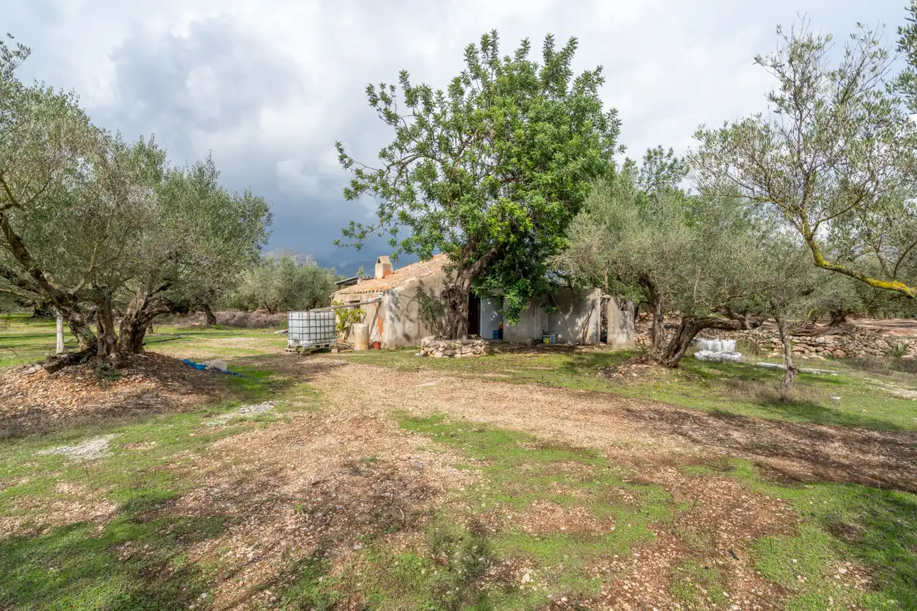 Terrain rustique à vendre à N/A, imagen 12
