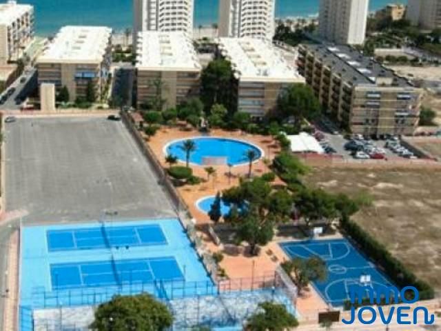 Swimming pool of Apartment to rent in El Campello  with Furnished and Community pool