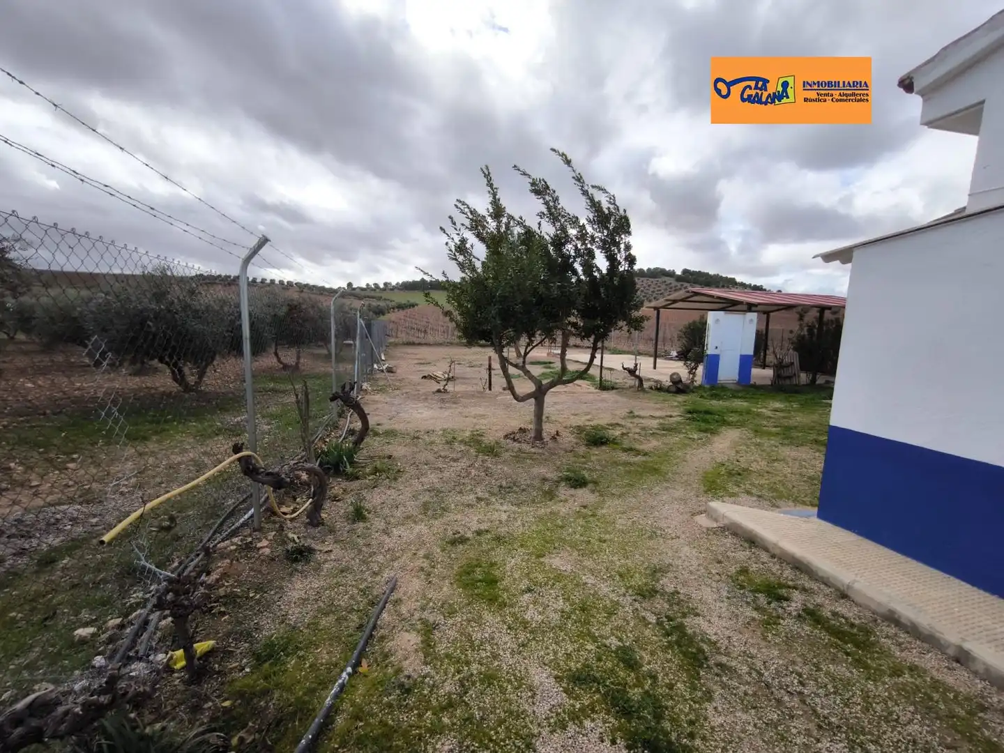 Casa rústica en venda a Valdepeñas, imagen 2
