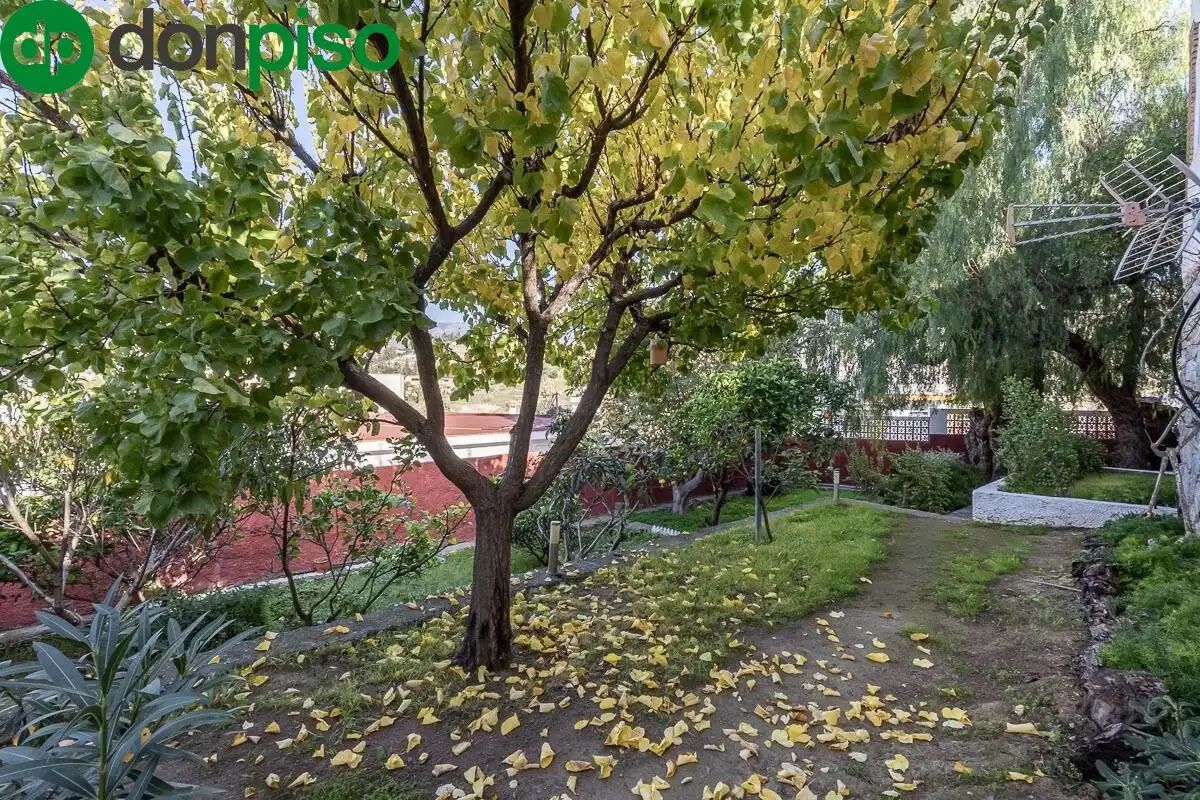 Casa amb piscina en venda a MARAVILLAS NORTE, LAS, imagen 68