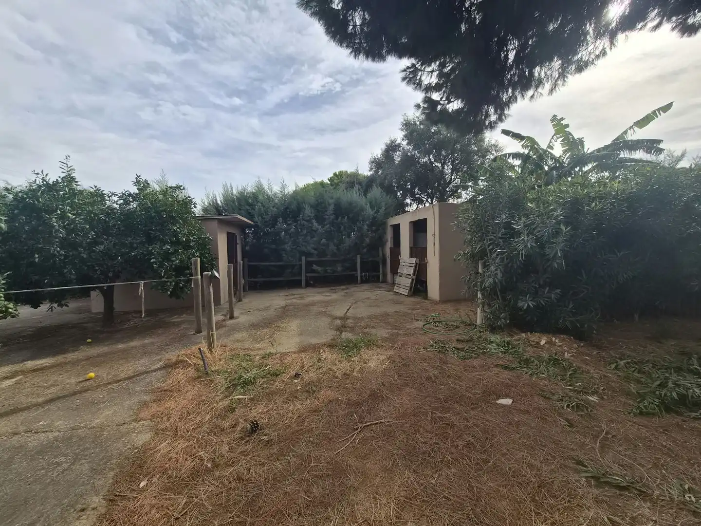 Maison avec piscine à vendre à Arroyo de San Serván, imagen 28