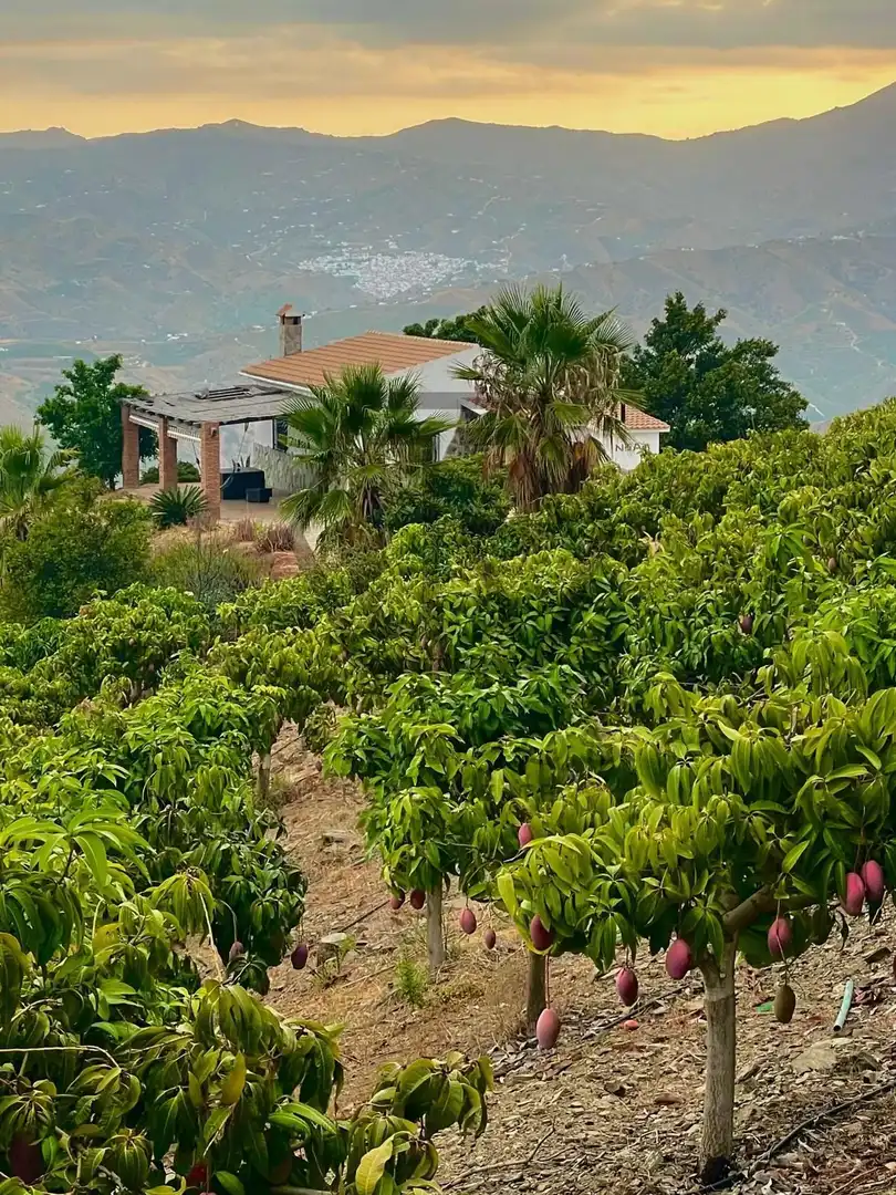 Casa rústica amb piscina en venda a almendrilo, imagen 33