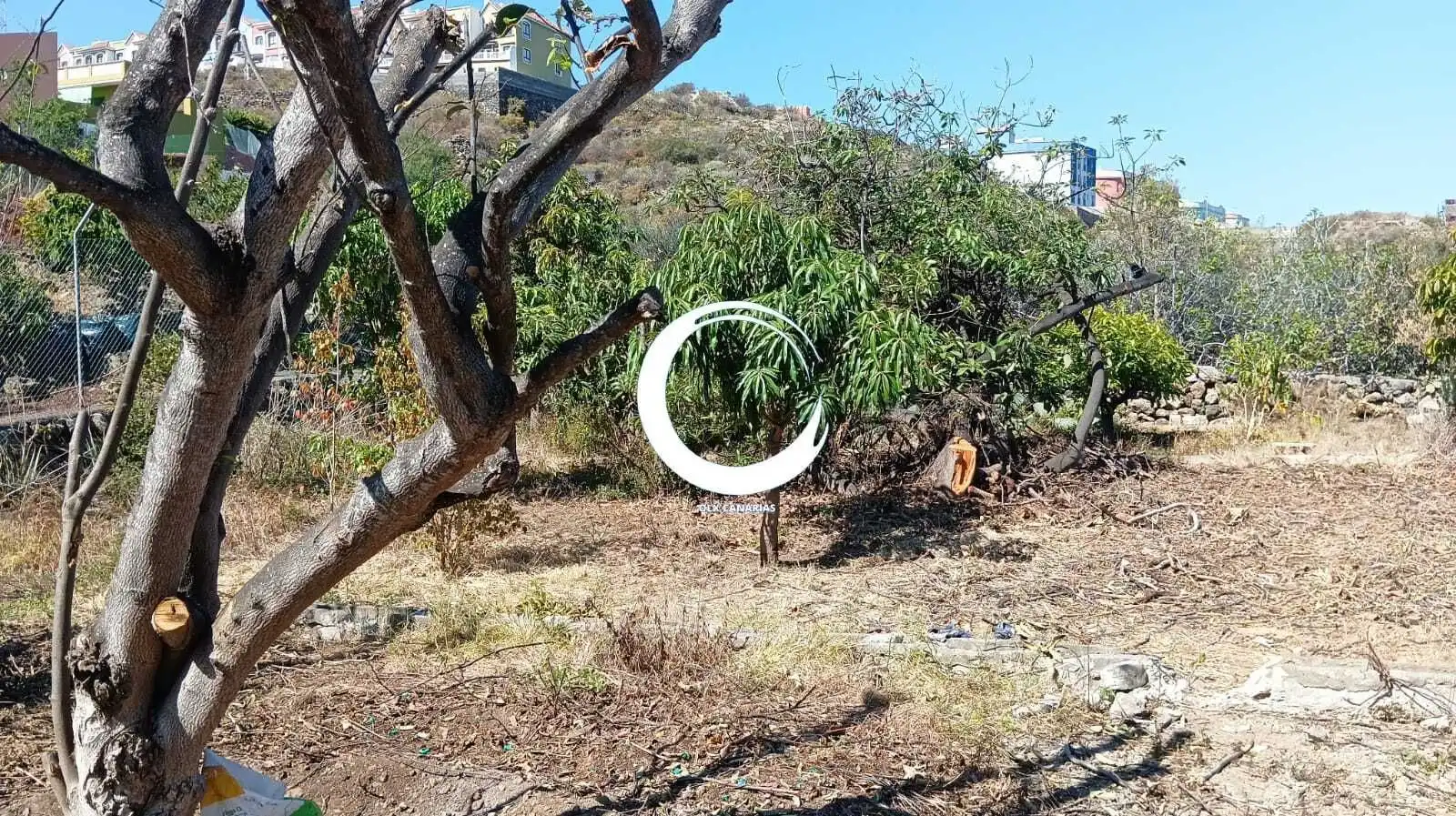Rural land for sale in Camino la Cueva del Rey, imagen 16