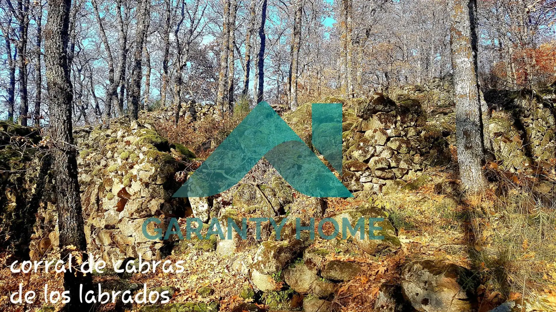 Finca rústica en venta en Aldeanueva de la Vera