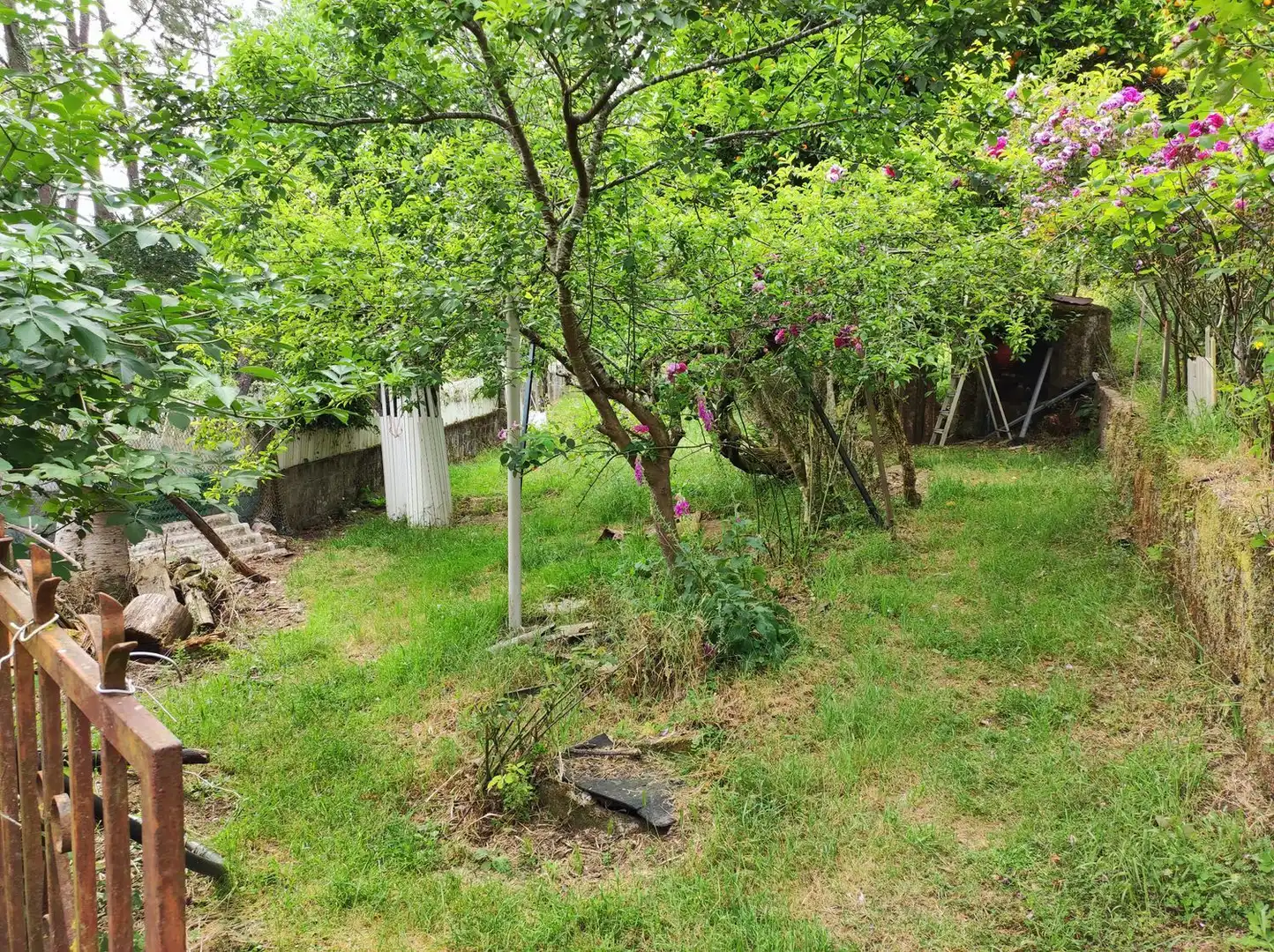 Villa avec jardin à vendre à Nabeiras, imagen 28
