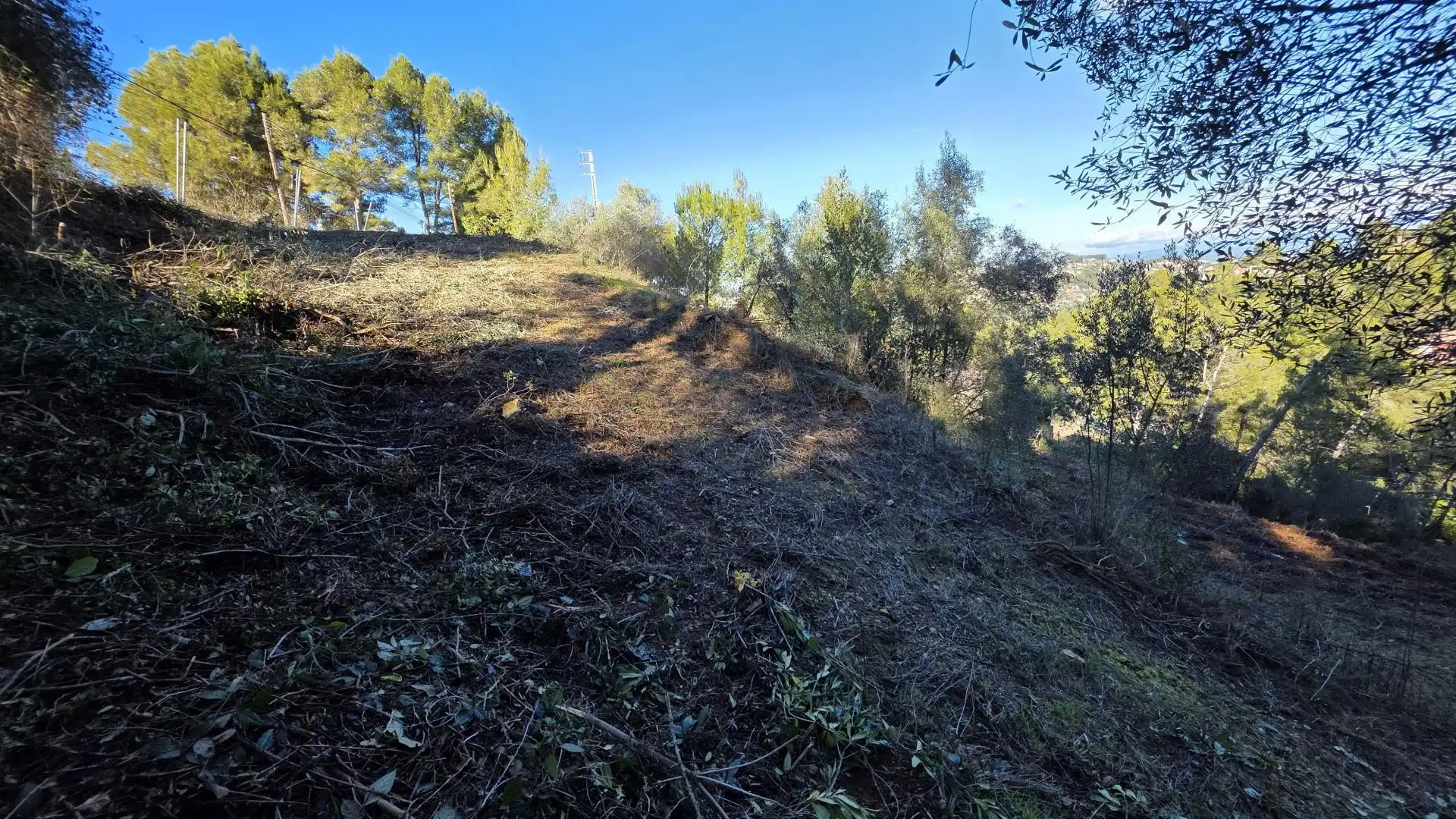 Wohnbaugrundstück zum Verkauf in Cervelló, imagen 5