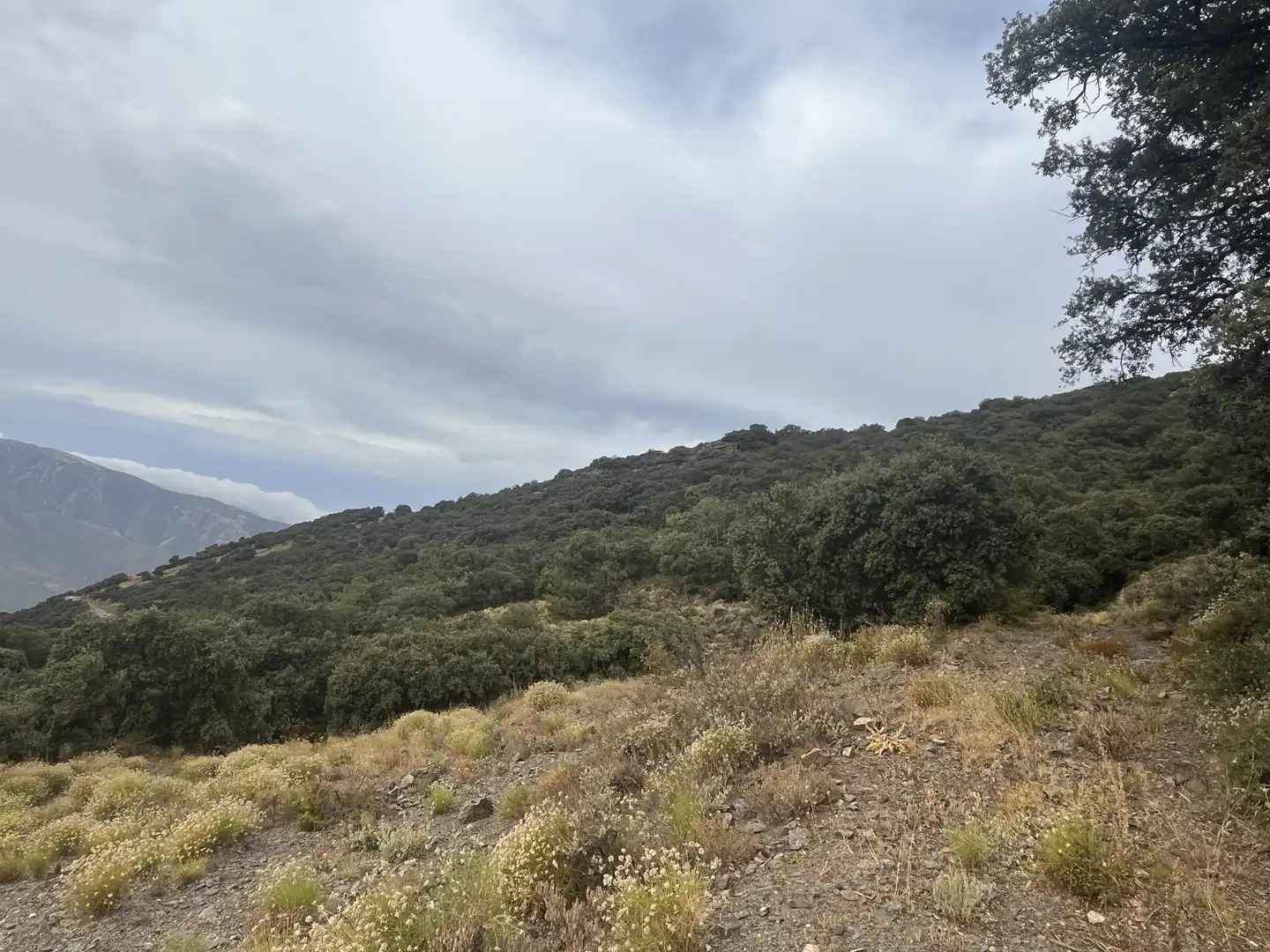 Terreno en venta en La Taha