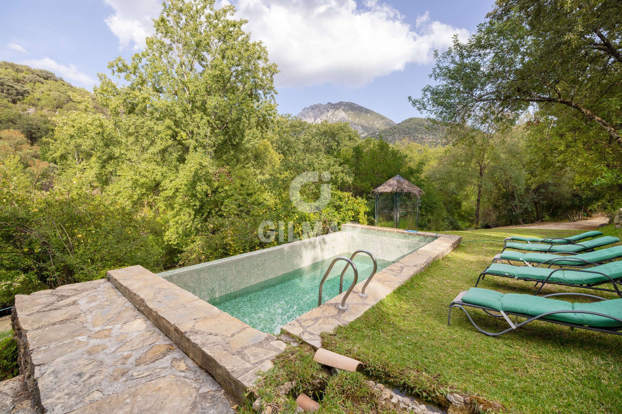 Swimming pool of House or chalet for sale in Grazalema  with Heating, Private garden and Swimming Pool