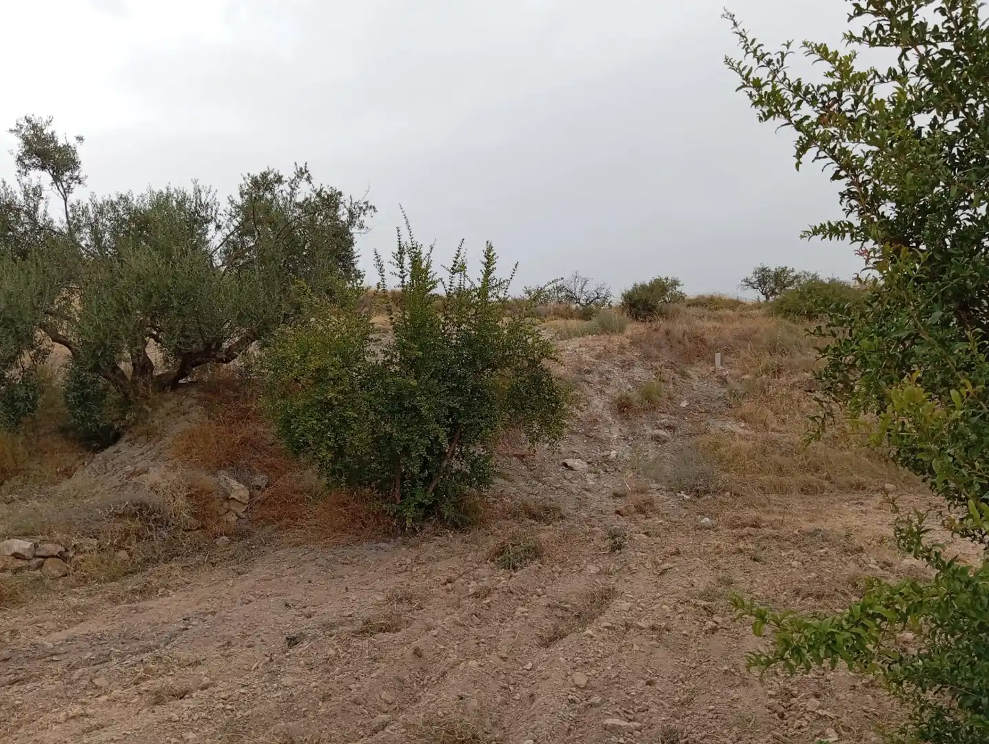 Terreni e lotti in vendita a Bolnuevo, imagen 25