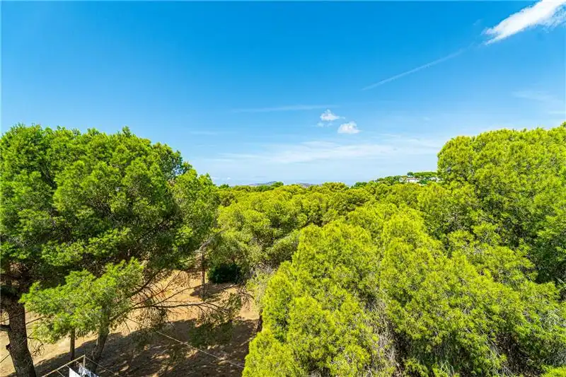 Haus oder Chalet zum Verkauf in Calvià mit Privatgarten, Terrasse und Schwimmbad