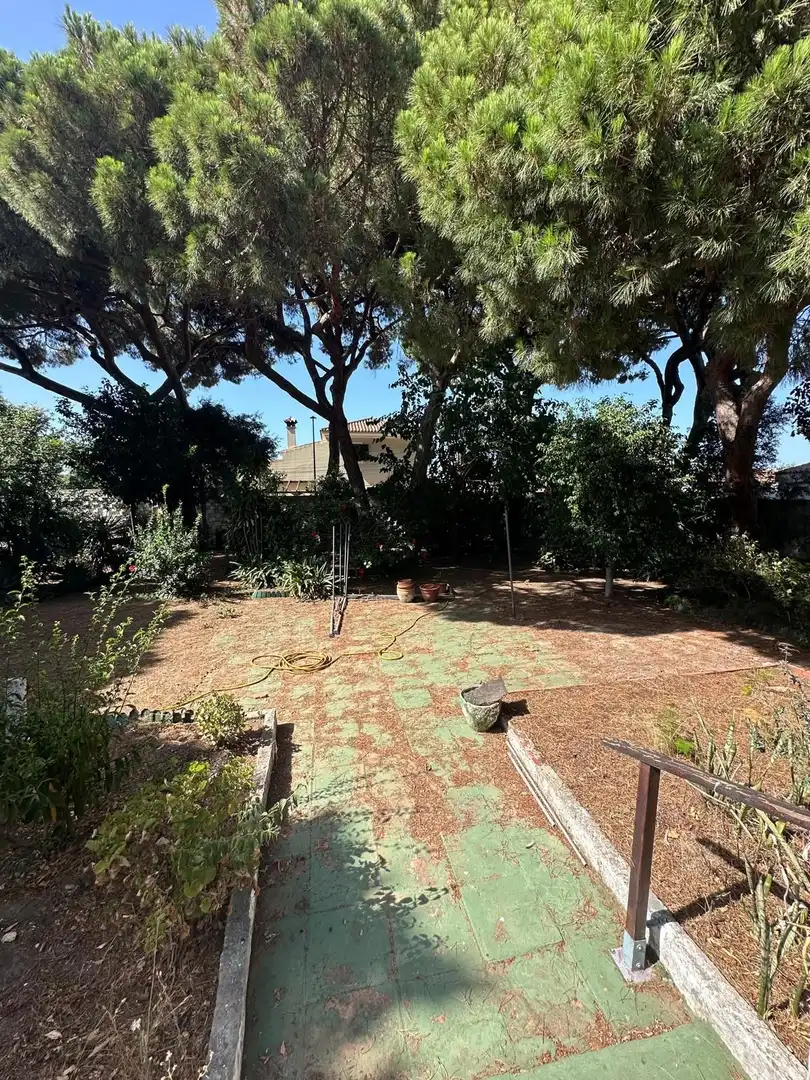 Jardín de Casa o chalet en venta en Algeciras