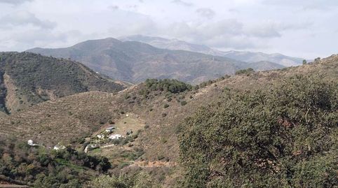 Foto 3 de Terreny en venda a las Cañada O Esquivelas Poligono 19 Parcela, Santa María de Guía de Gran Canaria, Las Palmas