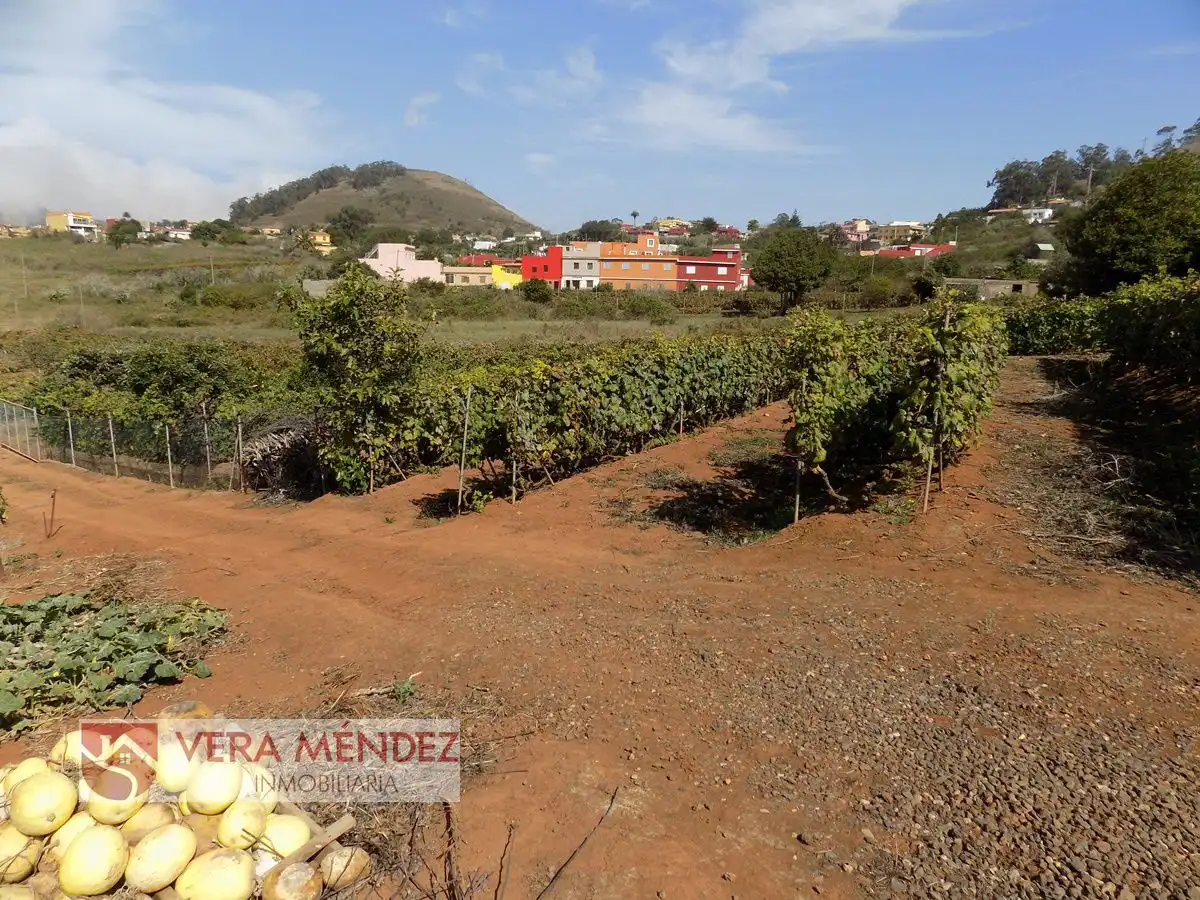 Country homes for sale in Tacoronte