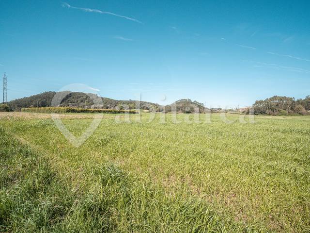 Terreno en Venta en Barrio la Maza en Escobedo