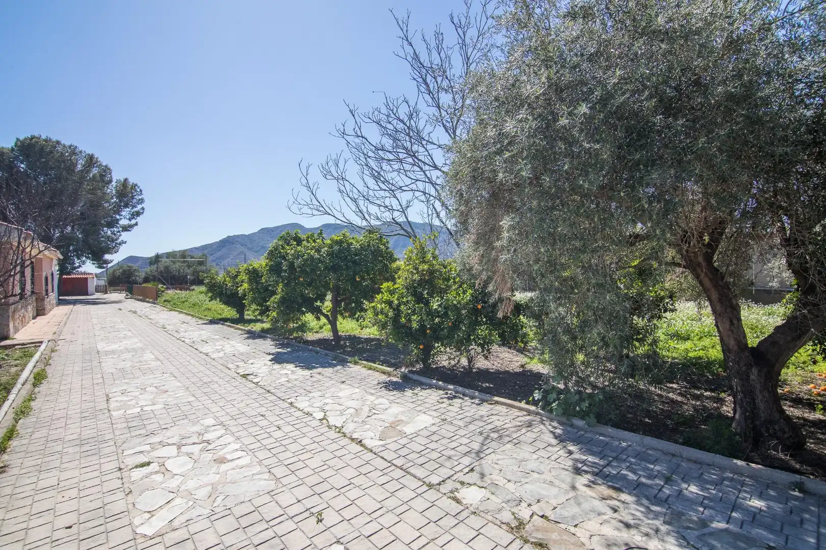 Vista exterior de Casa o chalet en venta en Redován con Jardín privado, Terraza y Piscina