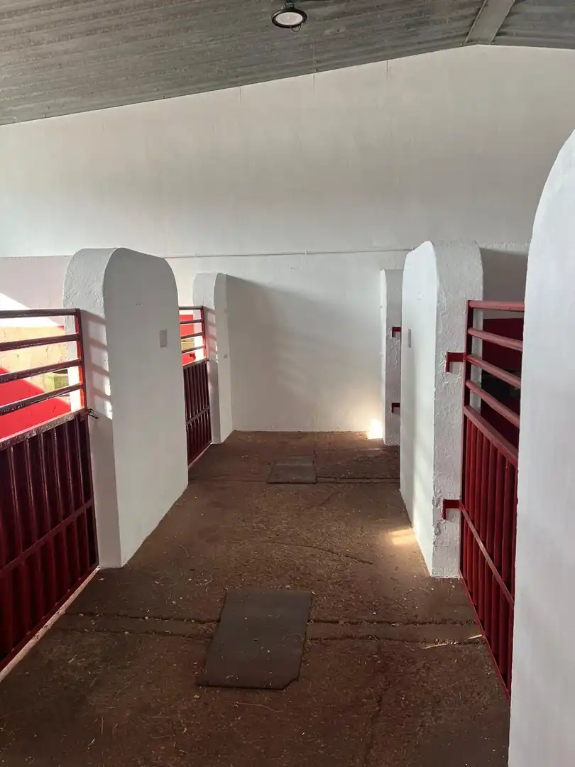 Casa rústica amb piscina en venda a Corcos, imagen 12