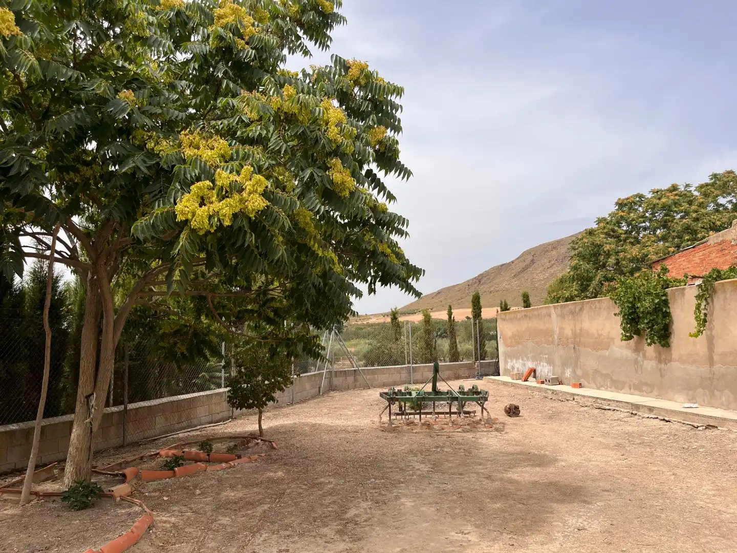 Jardín de Casa adosada en venta en Tobarra con Jardín privado, Terraza y Trastero