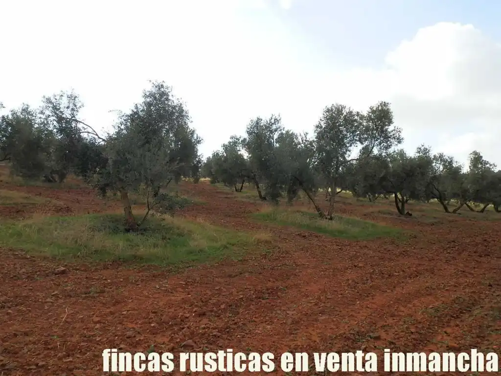Rural land for sale in Valdepeñas, imagen 4