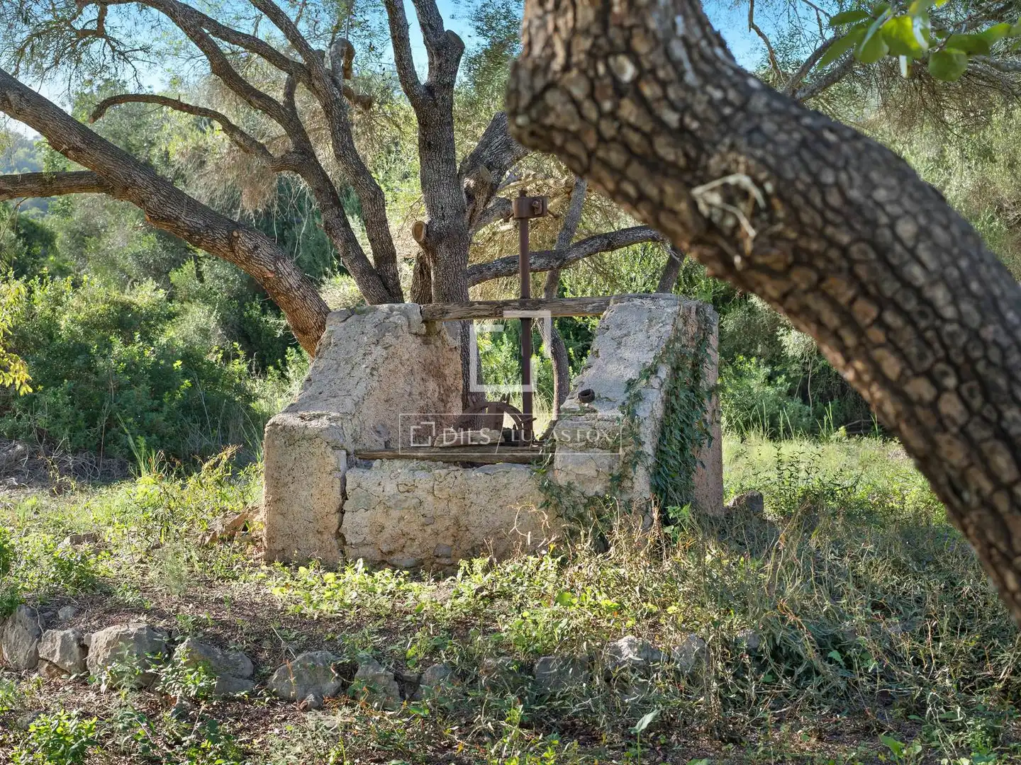 Garden of Country homes for sale in Capdepera  with Air Conditioner, Heating and Private garden