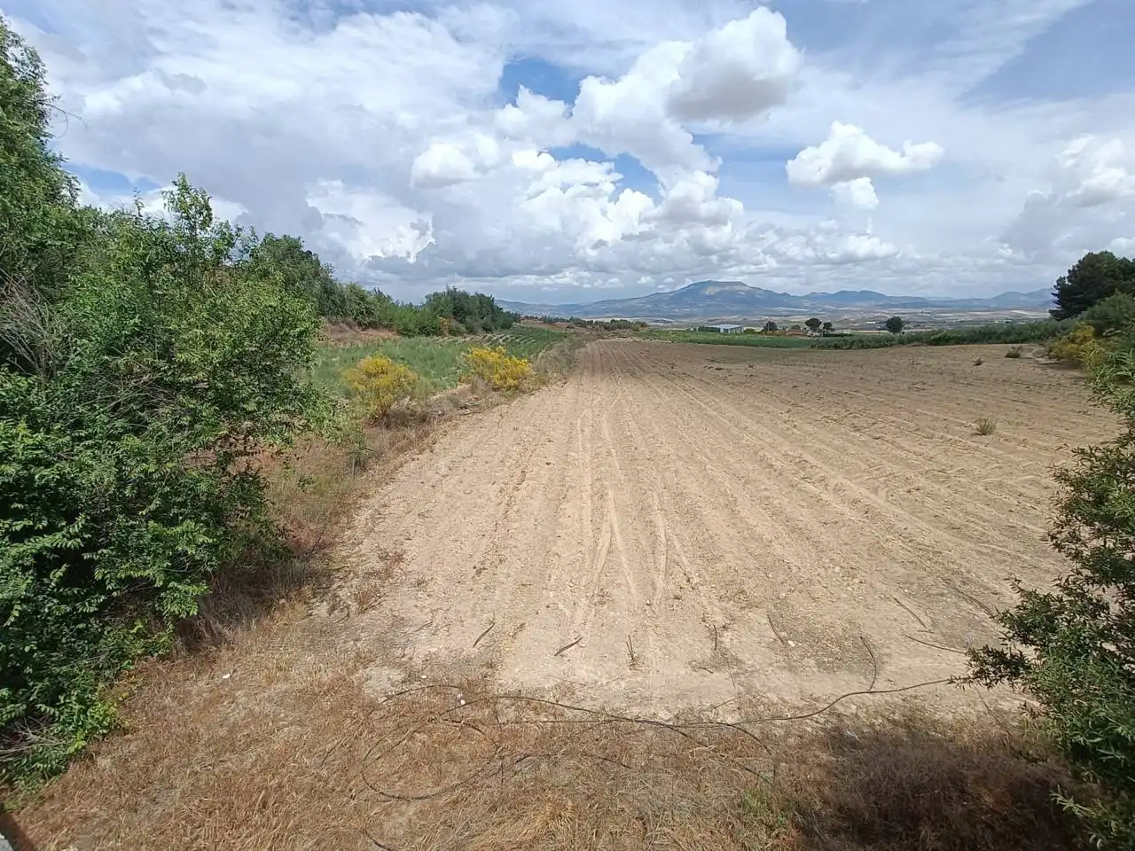 Rural land for sale in Moraleda de Zafayona, imagen 7
