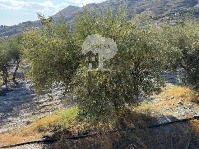 Terreno en Venta en Vélez de Benaudalla