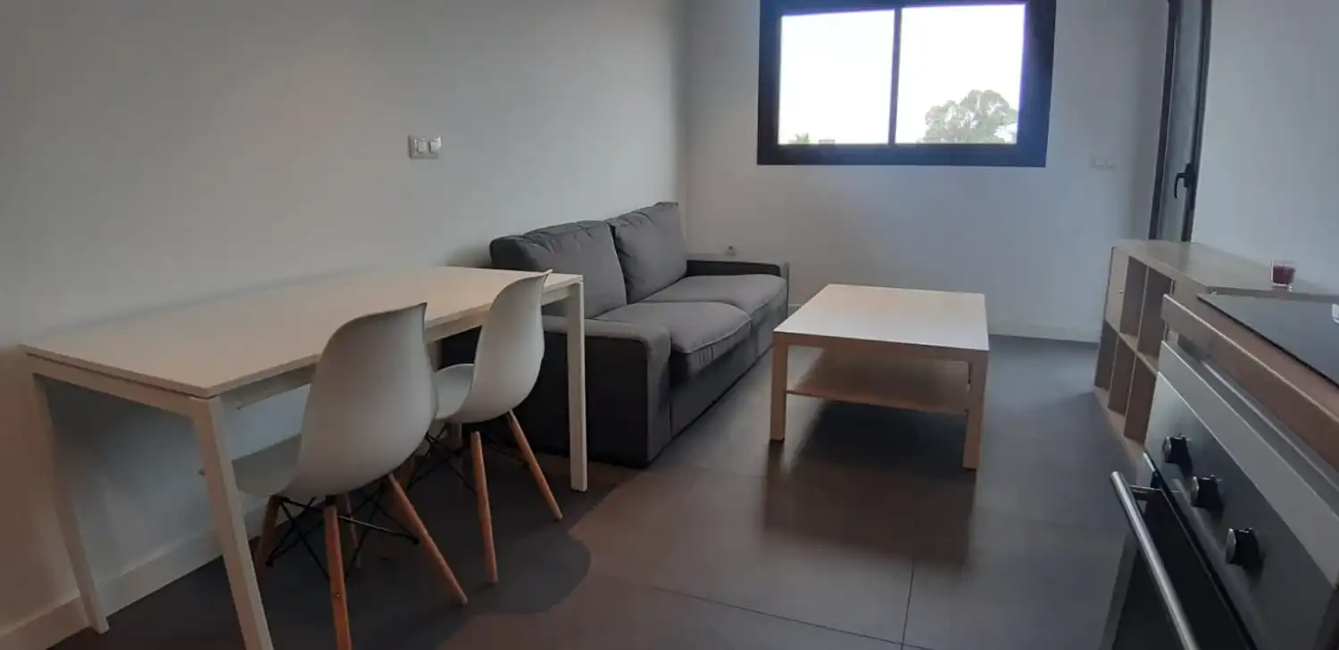 Sala de estar de Apartamento de alquiler en Murcia con Aire acondicionado, Amueblado y Lavadora