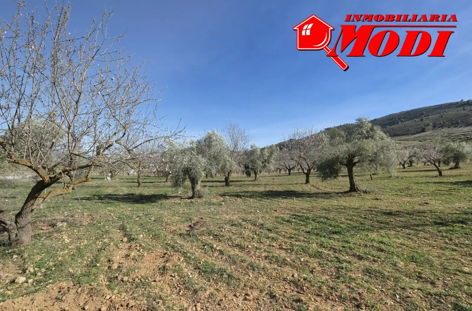 Terreni e lotti in vendita a El Valle, imagen 33