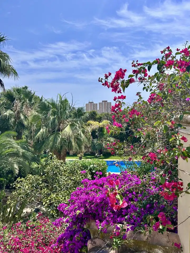 Garden of Houses for sale in Alicante / Alacant  with Air Conditioner, Private garden and Terrace