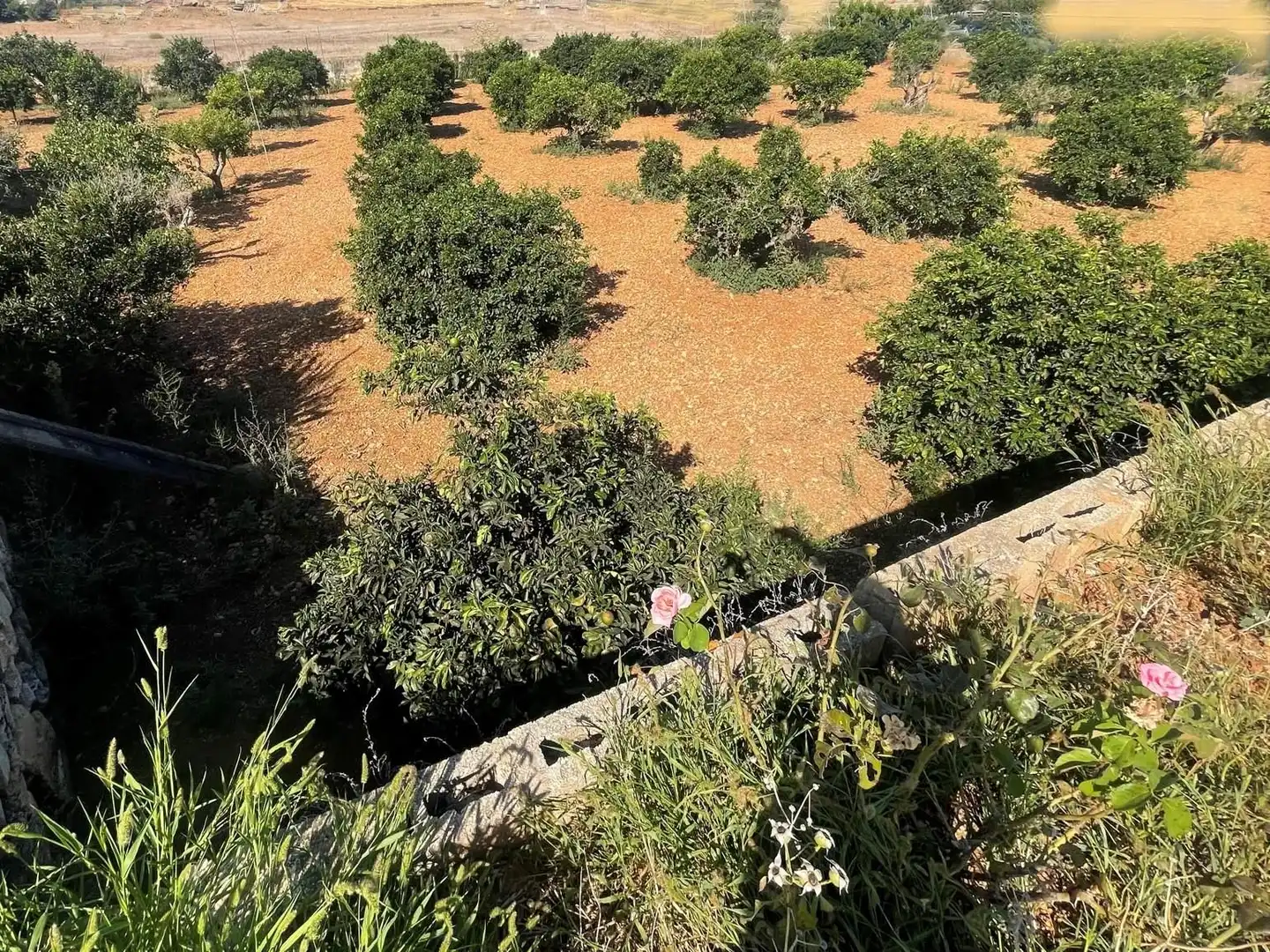 Finca rústica en venta en Muro con Jardín privado, Terraza y Trastero