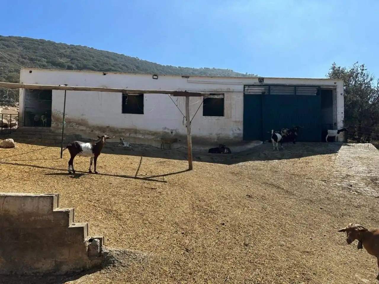 Terreny residencial en venda a Moraleda de Zafayona, imagen 6