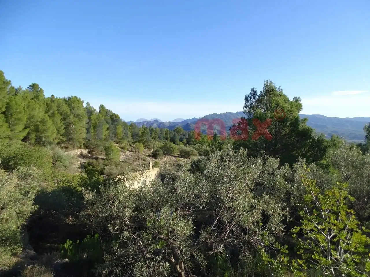 Terrain résidentiel à vendre à Xerta, imagen 10