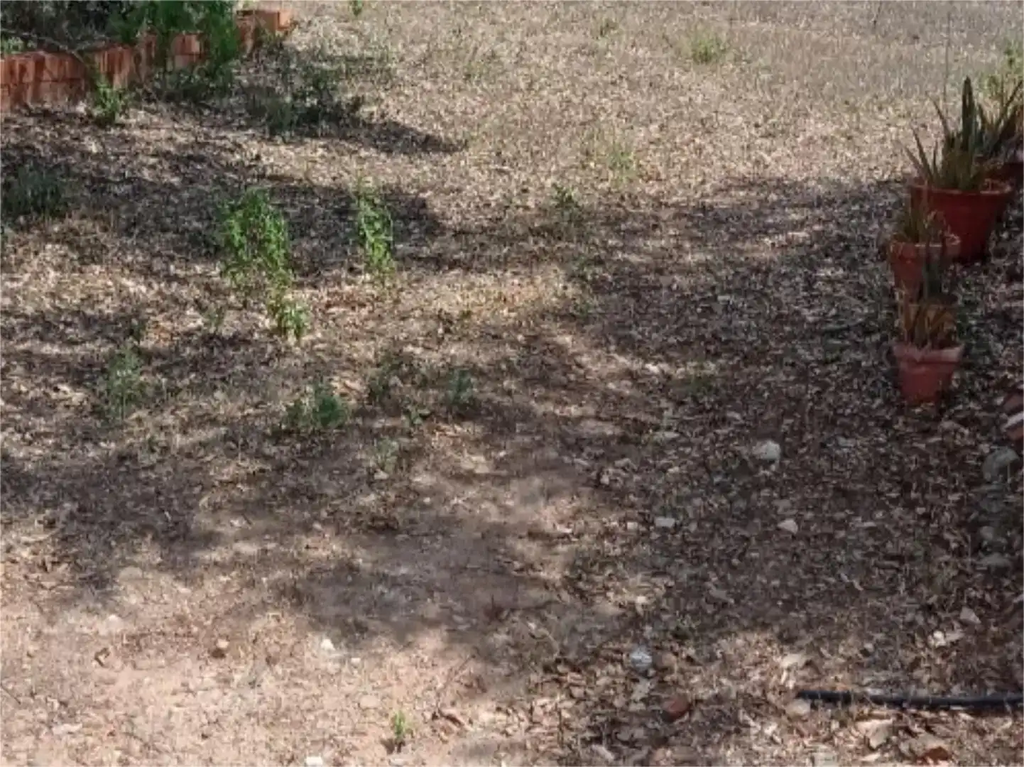Terreno en venta en Guillena