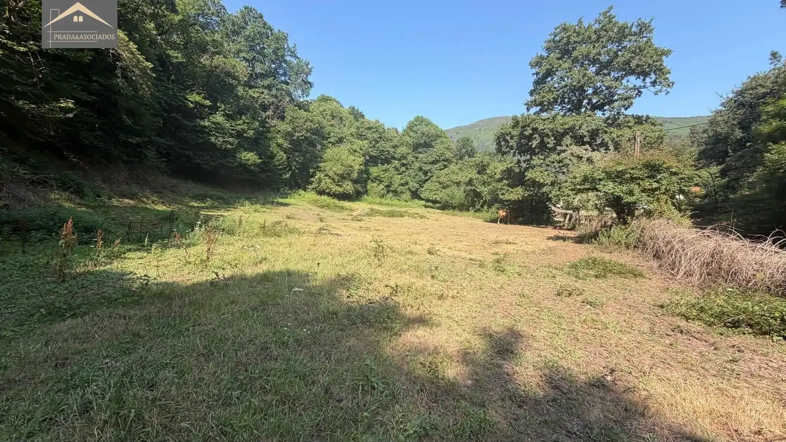 Residential land for sale in Ruente, imagen 13