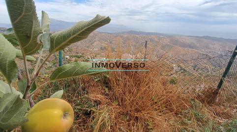 Foto 2 de Casa o xalet en venda a Moclinejo, Málaga