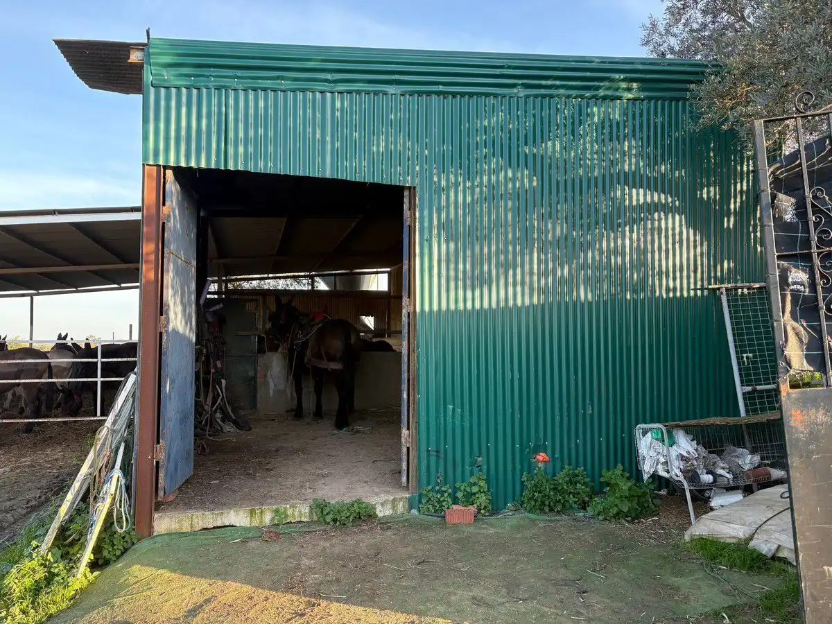 Casa rústica en venda a Bollullos Par del Condado, imagen 4