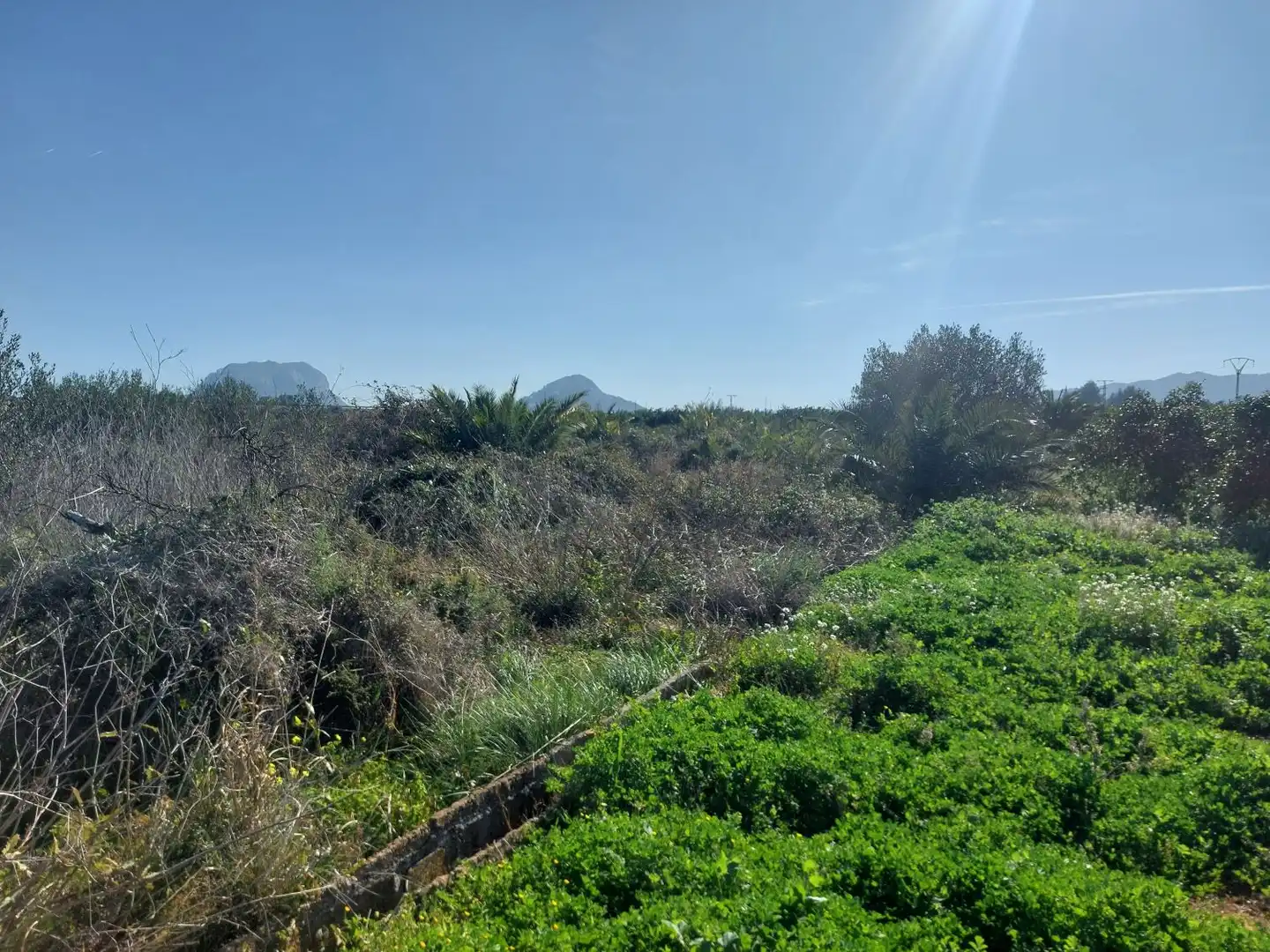 Terreny rústic en venda a Beniarbeig, imagen 2