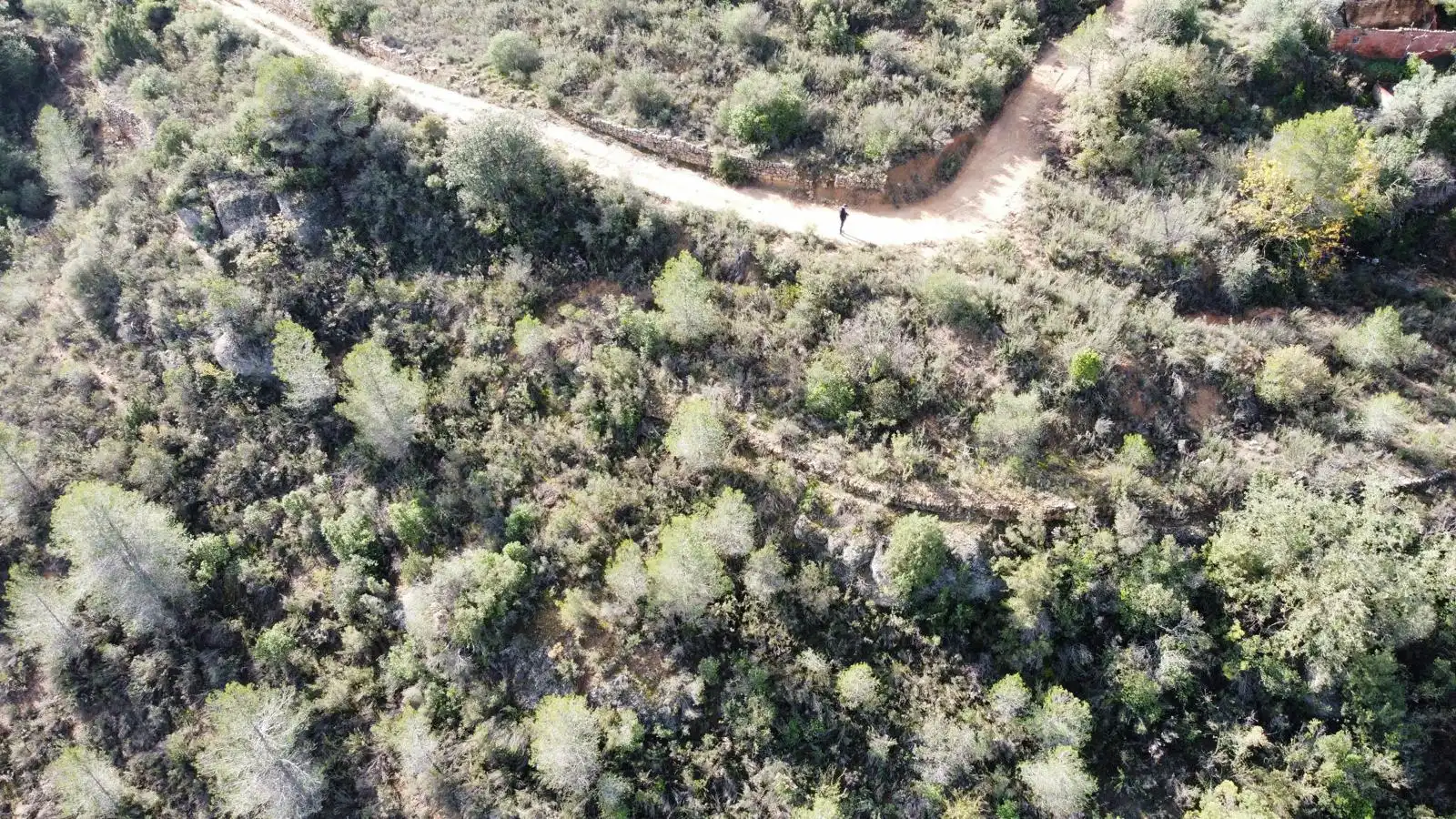 Terreno rustico in vendita a Cervià de Les Garrigues