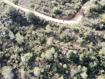 Terreno rústico en venta en Cervià de Les Garrigues