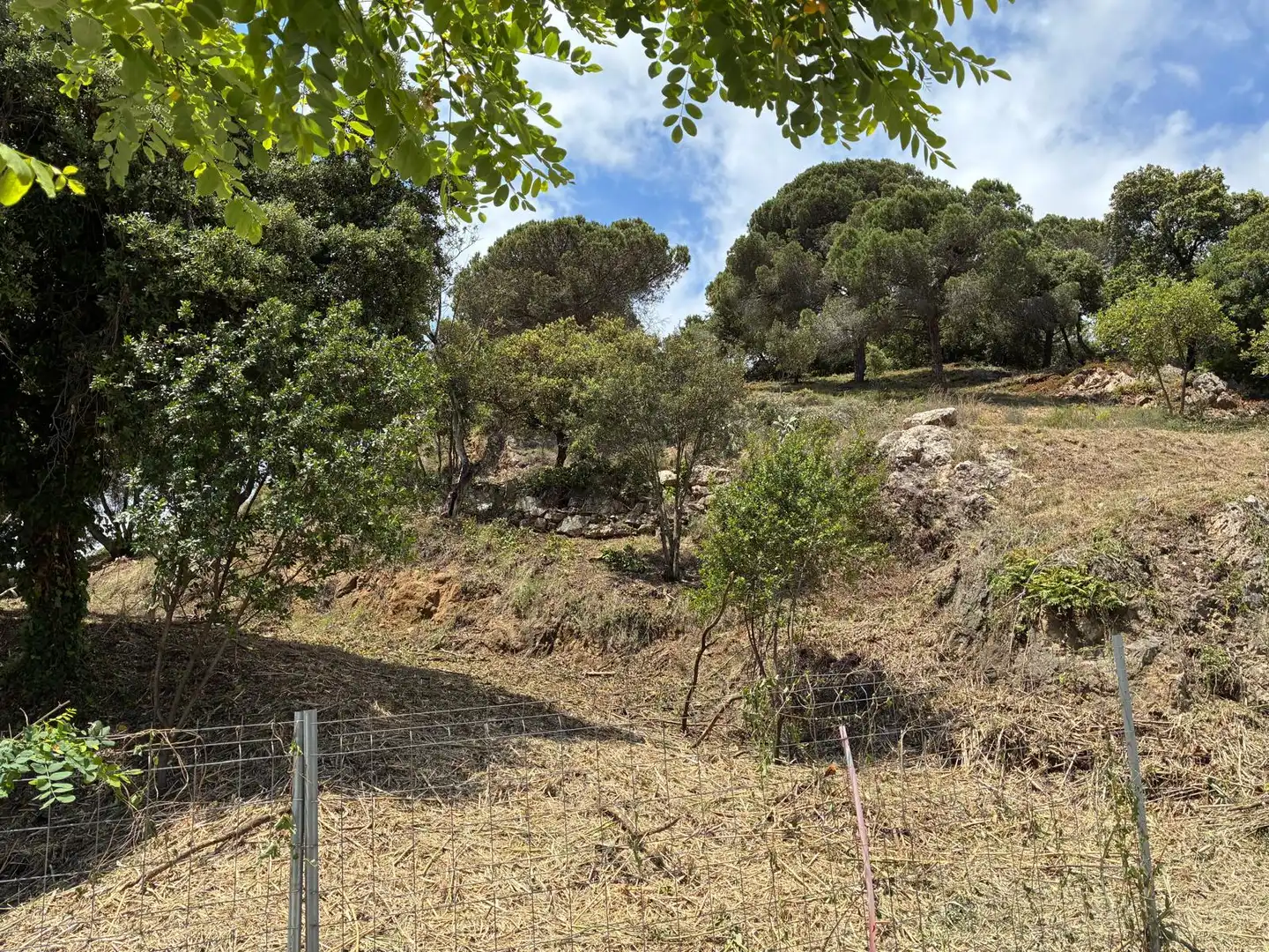 Terreny residencial en venda a Avinguda de Can Badrinas, imagen 3