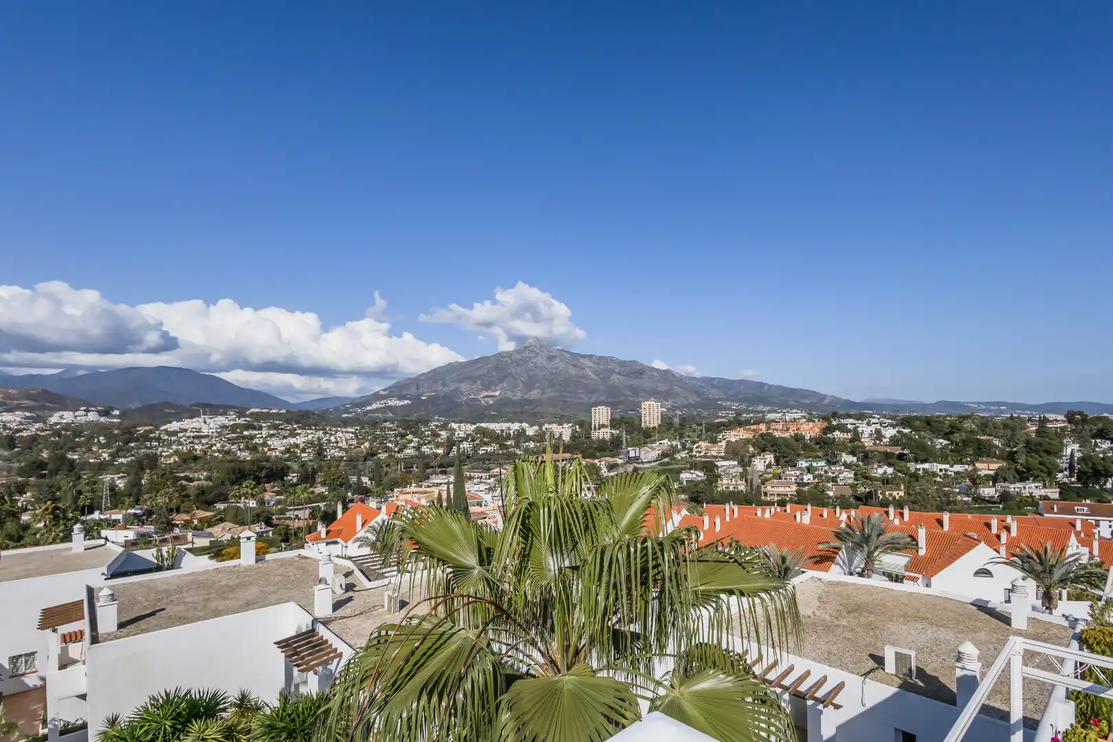 Flat with pool for sale in Calle las Ventas, imagen 66