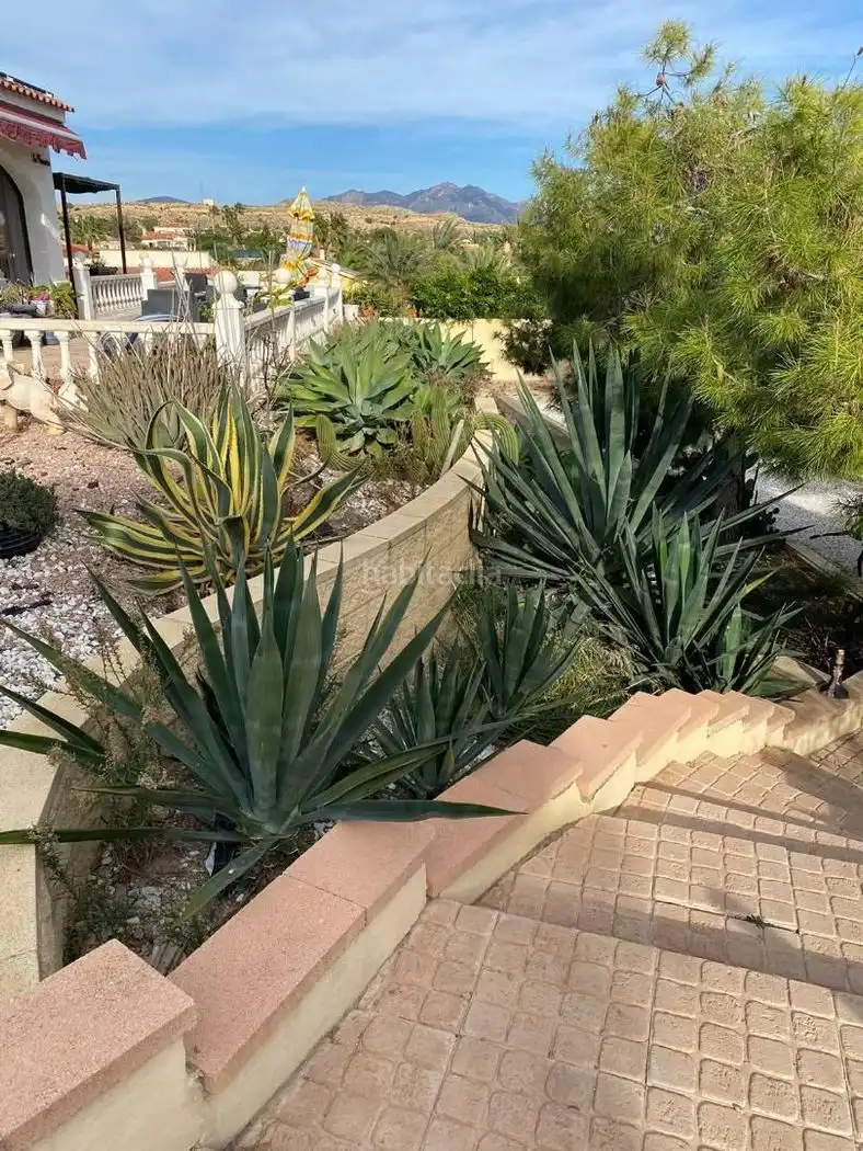 Casa en venta en Carrer la Vall de Guadalest 3, imagen 24
