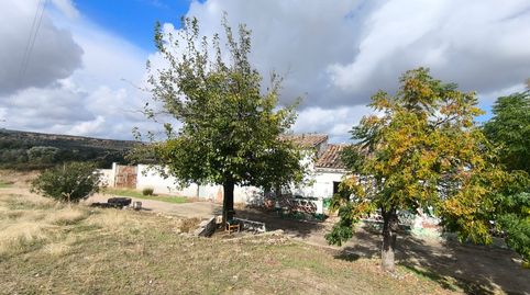 Imatge 4 de l'anunci