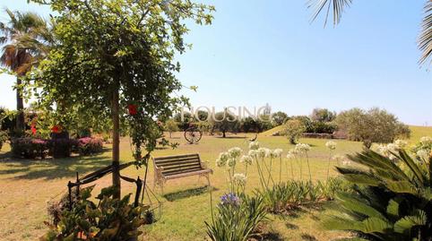 Foto 3 de Finca rústica en venta en Ciutat d'Alcúdia, Illes Balears