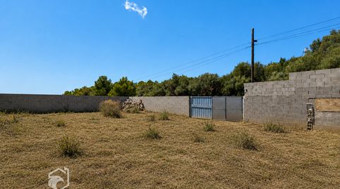 Foto 5 de Casa o xalet en venda a Carrer de Les Vacances, Mas Borràs - Coto del Rey, El Vendrell