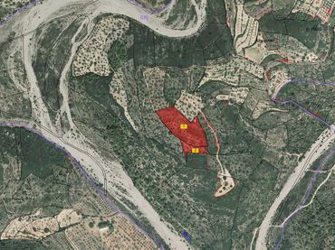 Rural land for sale in Cervera del Maestre