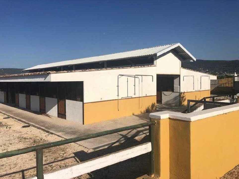 Nau industrial en venda a Pj Partida Raconch, Villalonga
